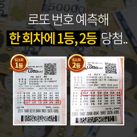 로또 번호 예측 서비스 안내 배너